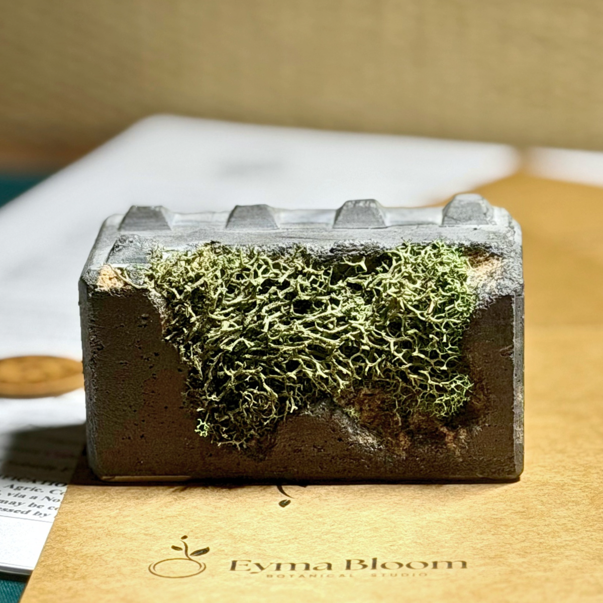 Sculptural Moss Paperweight