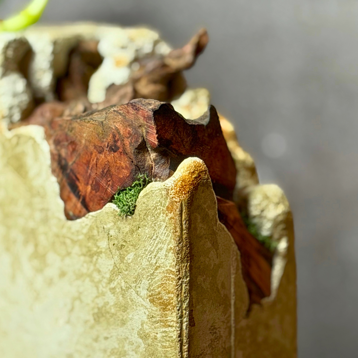 Sculptural Propagation Vessel
