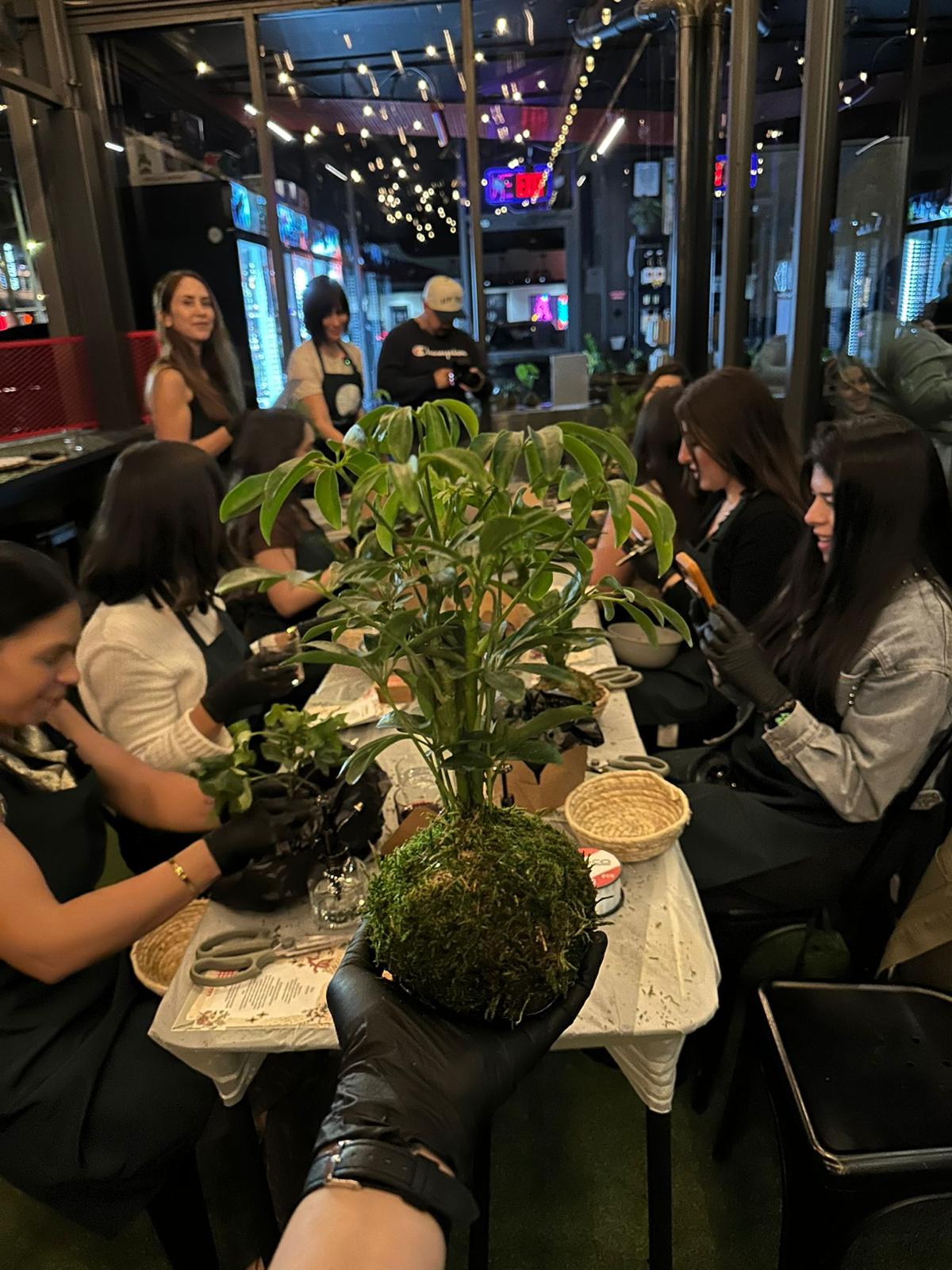 Botanical Experience
