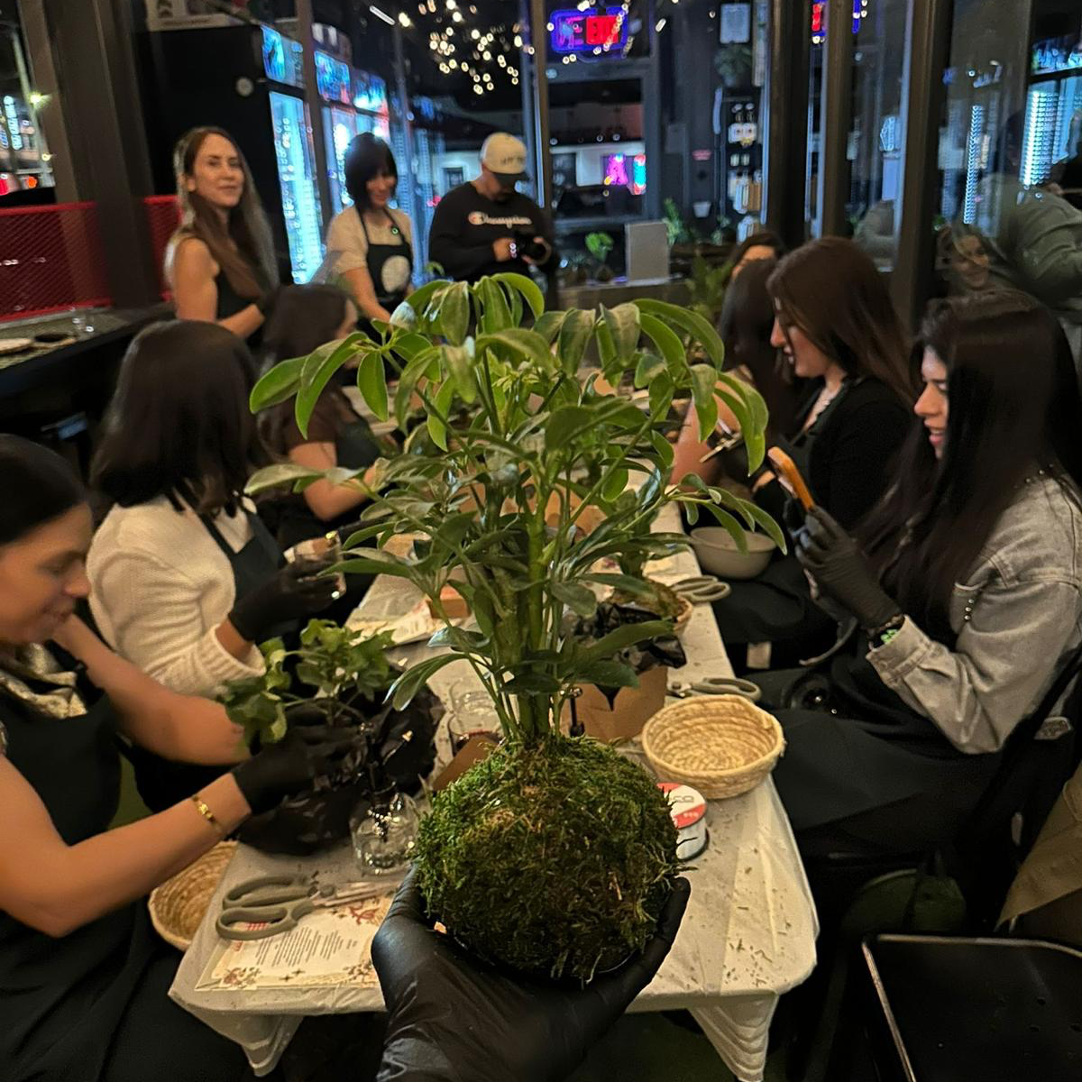 Botanical Experience