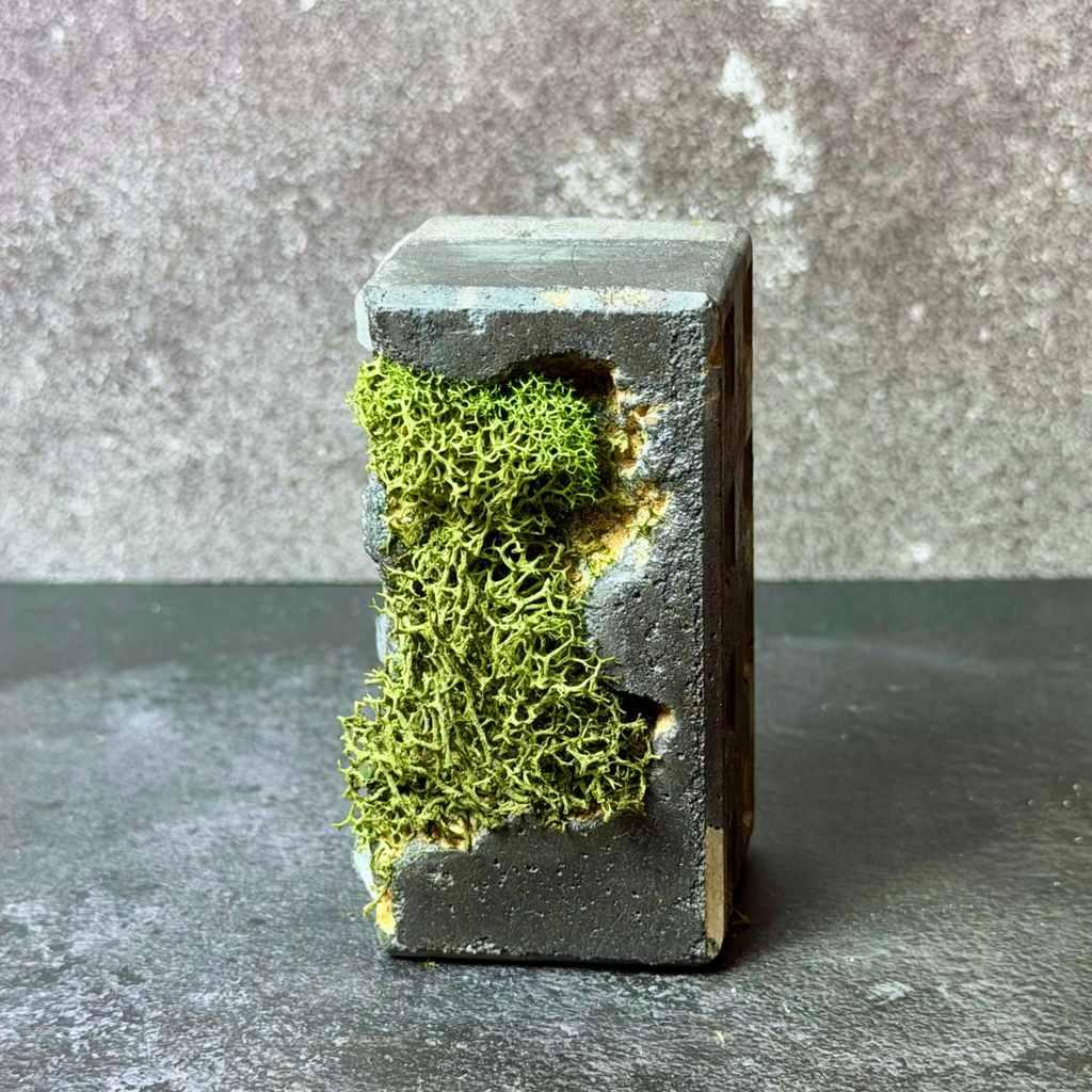 Sculptural Moss Paperweight