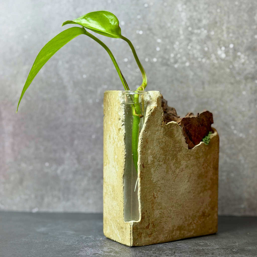 Sculptural Propagation Vessel