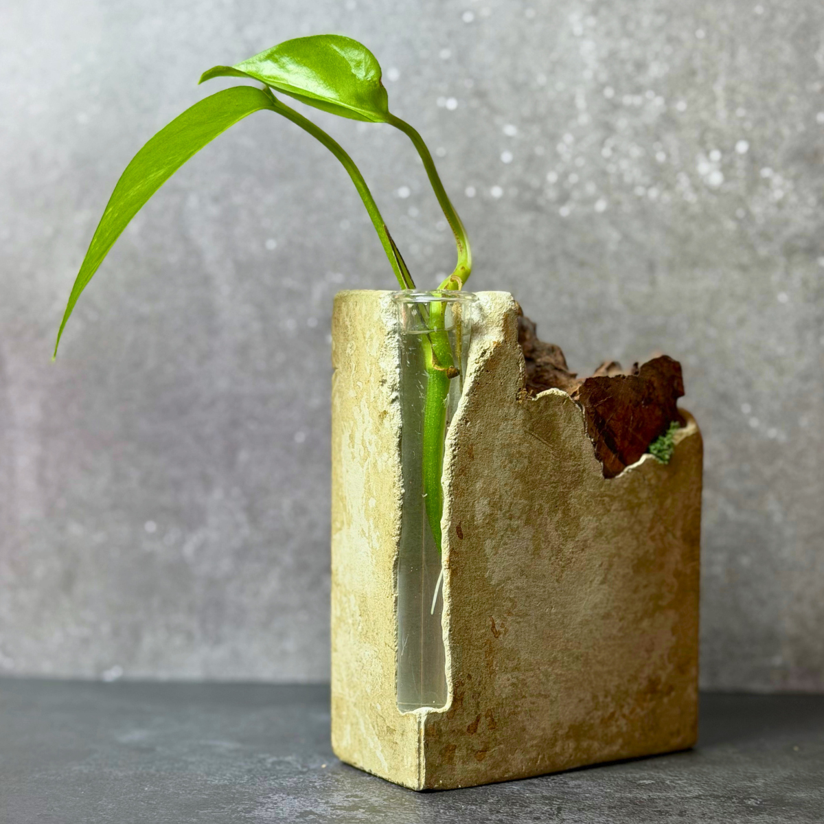 Sculptural Propagation Vessel