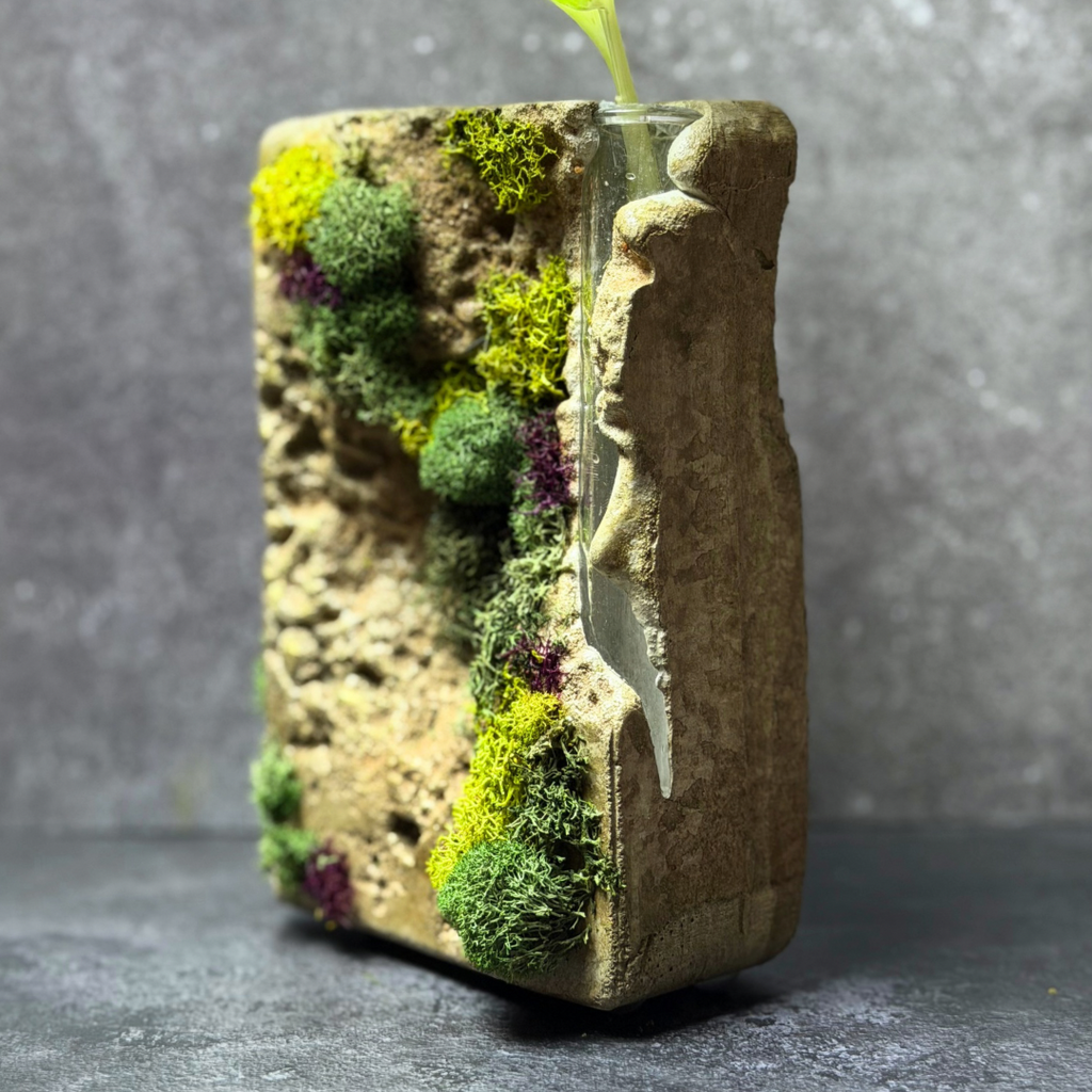Sculpted Moss Propagation Station