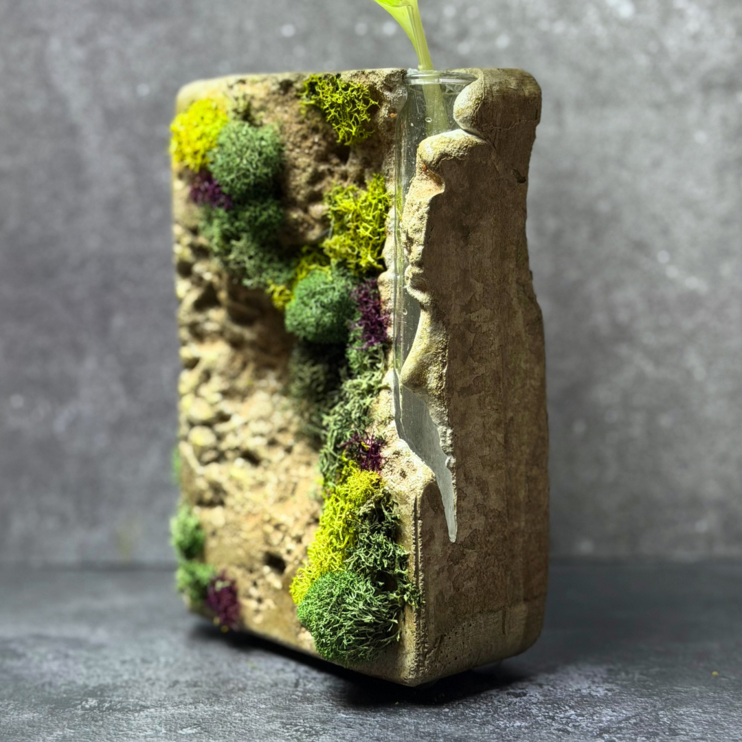 Sculpted Moss Propagation Station