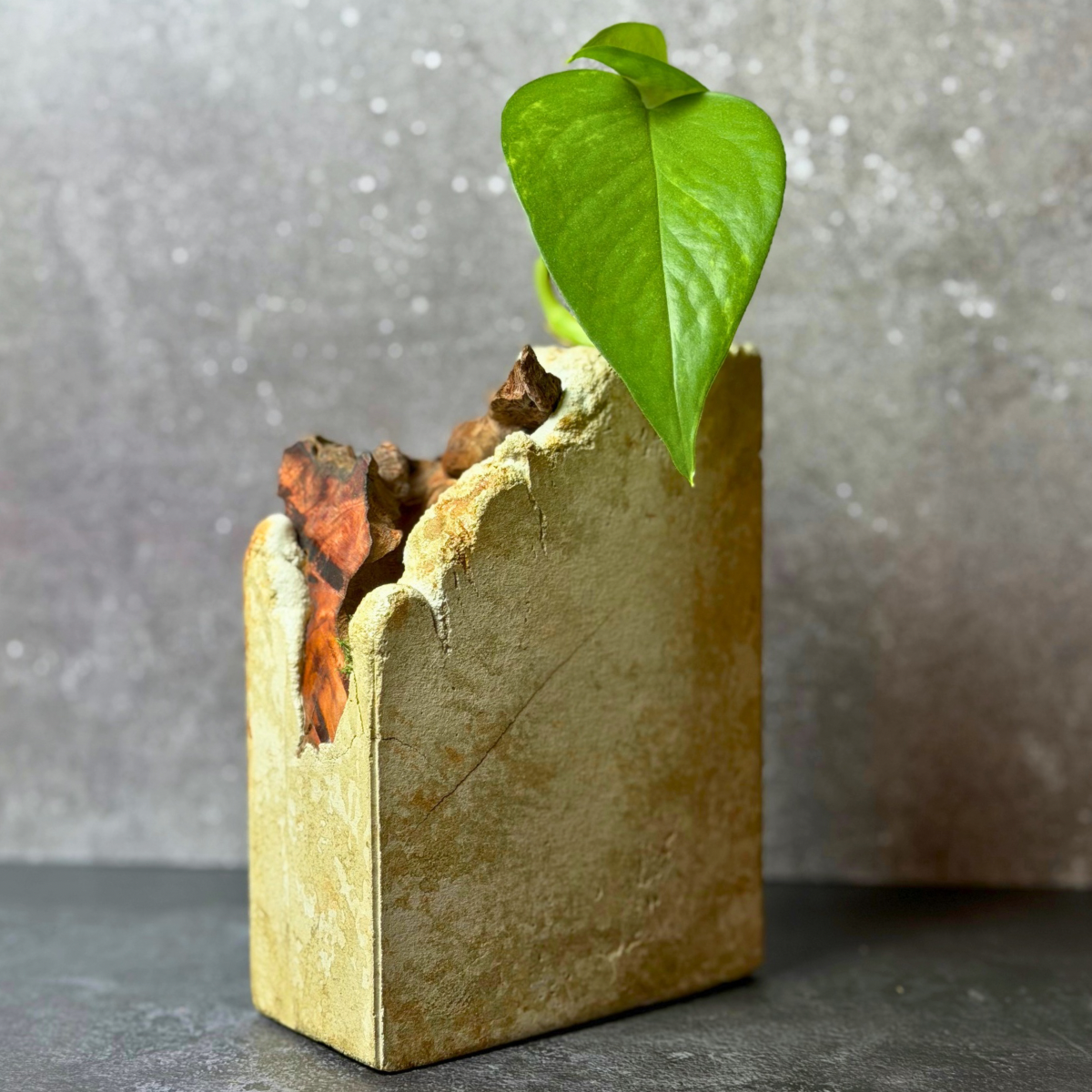 Sculptural Propagation Vessel