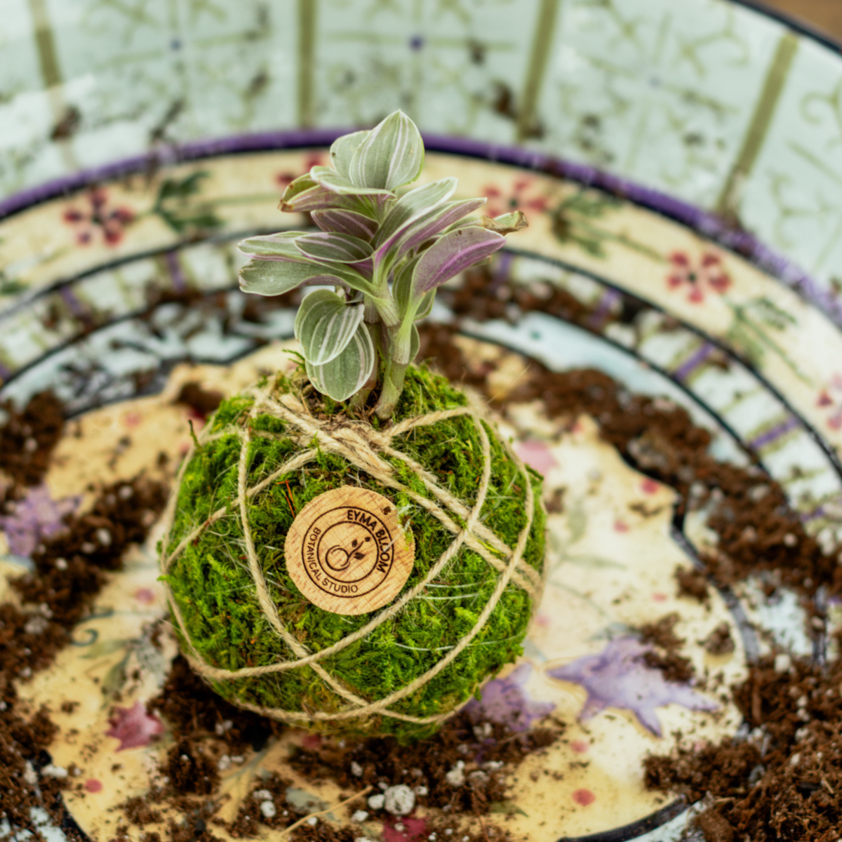 Botanical Experience