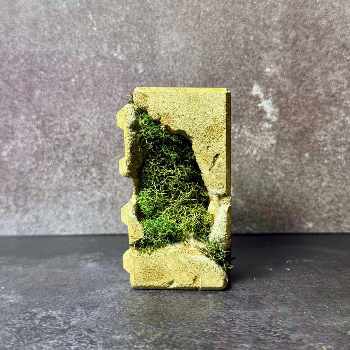 Sculptural Moss Paperweight