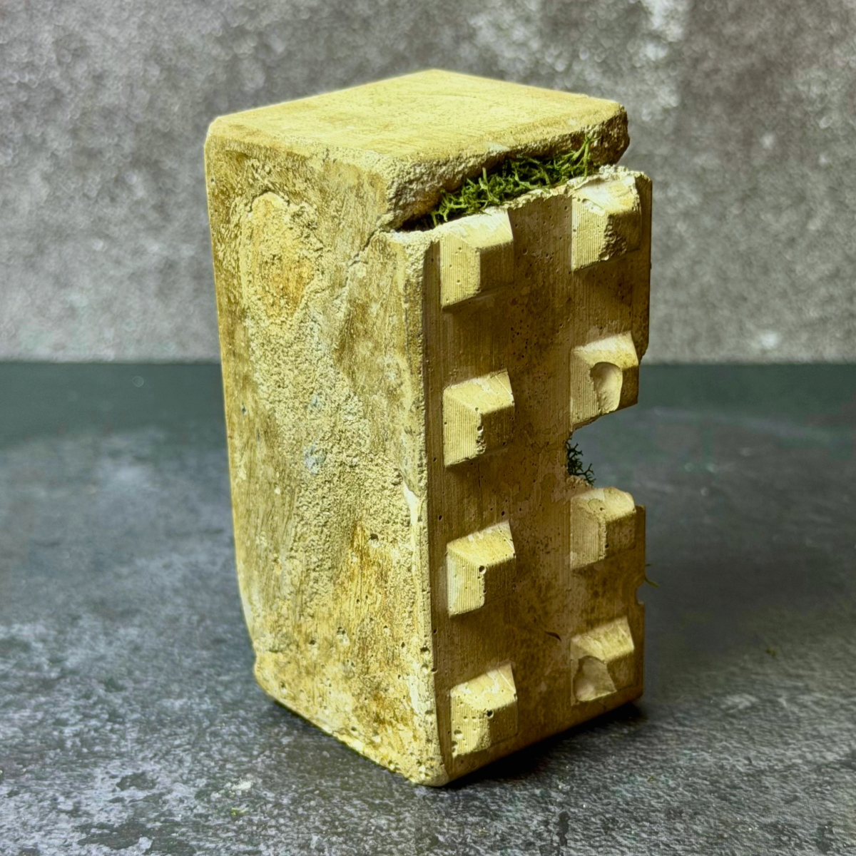 Sculptural Moss Paperweight