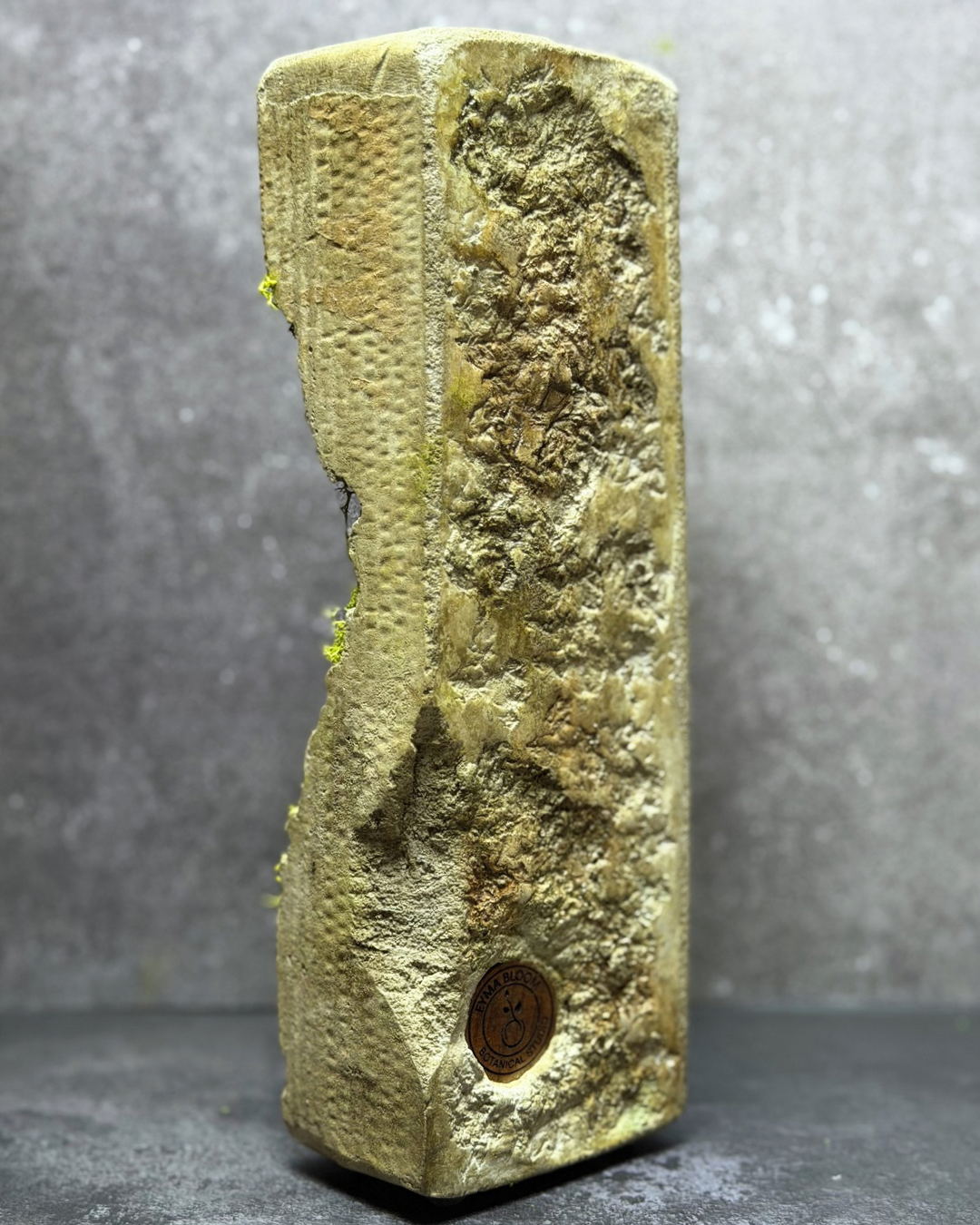 Sculpted Moss Propagation Station