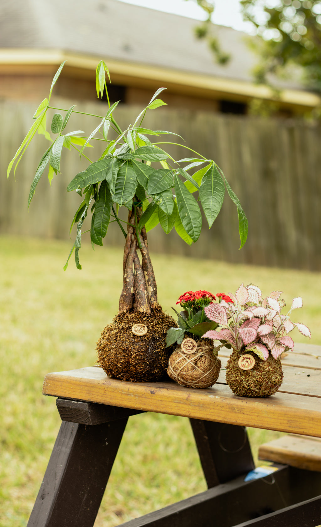 Botanical Experience