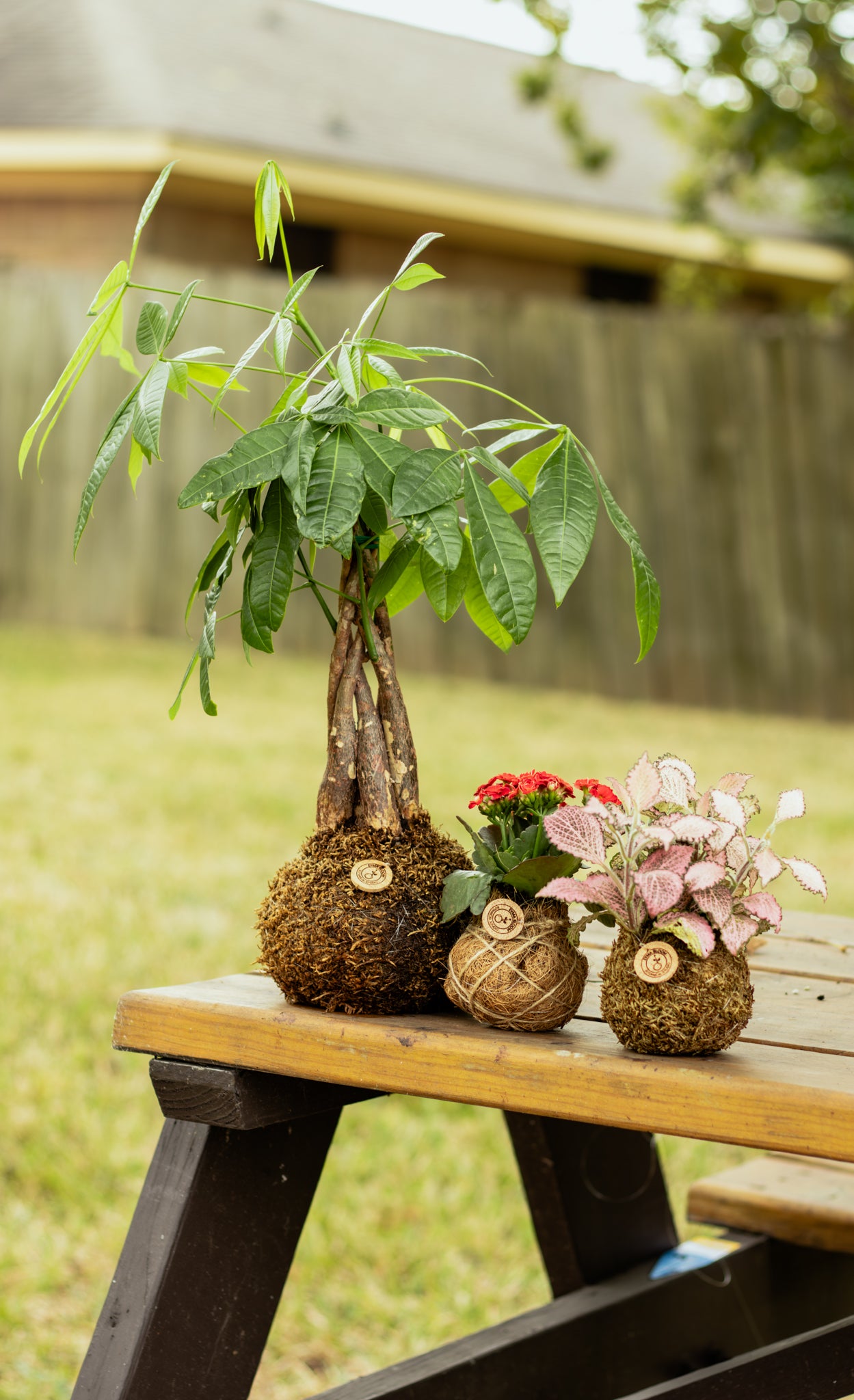 Botanical Experience